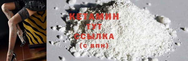 амф Вяземский