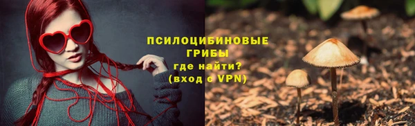 ешки Вязьма