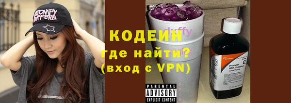 амф Вяземский