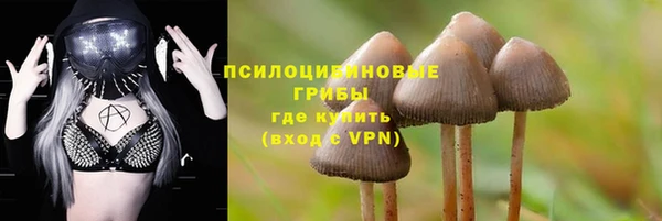 амф Вяземский