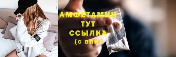 амф Вяземский