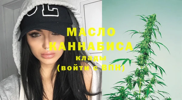 амф Вяземский