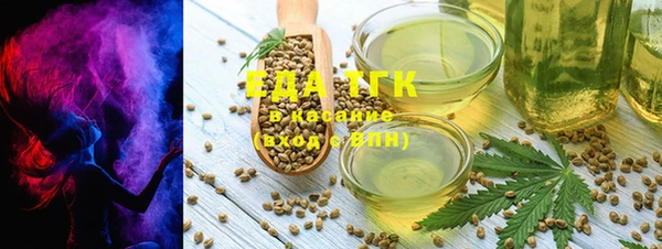амф Вяземский