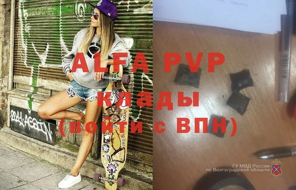 ешки Вязьма