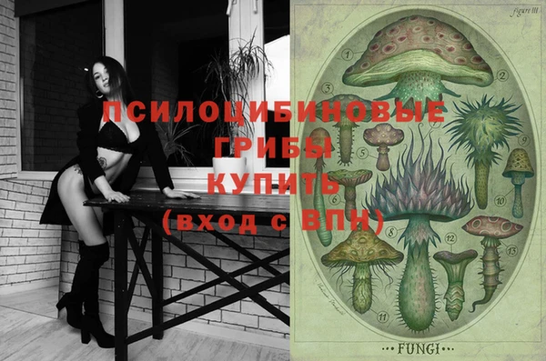 ешки Вязьма