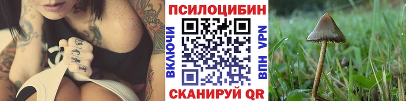 Купить где  Белебей  Галлюциногенные грибы ЛСД 